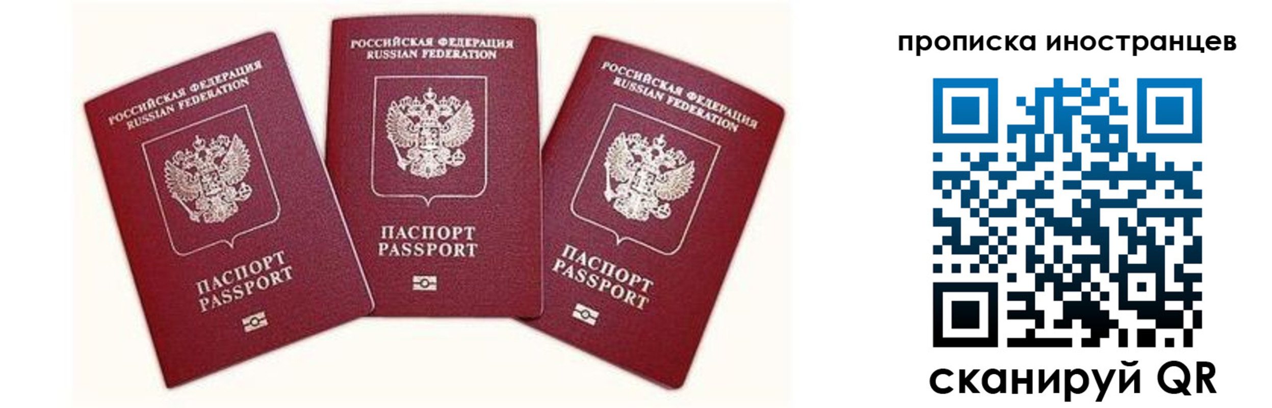 прописка в Зеленокумске